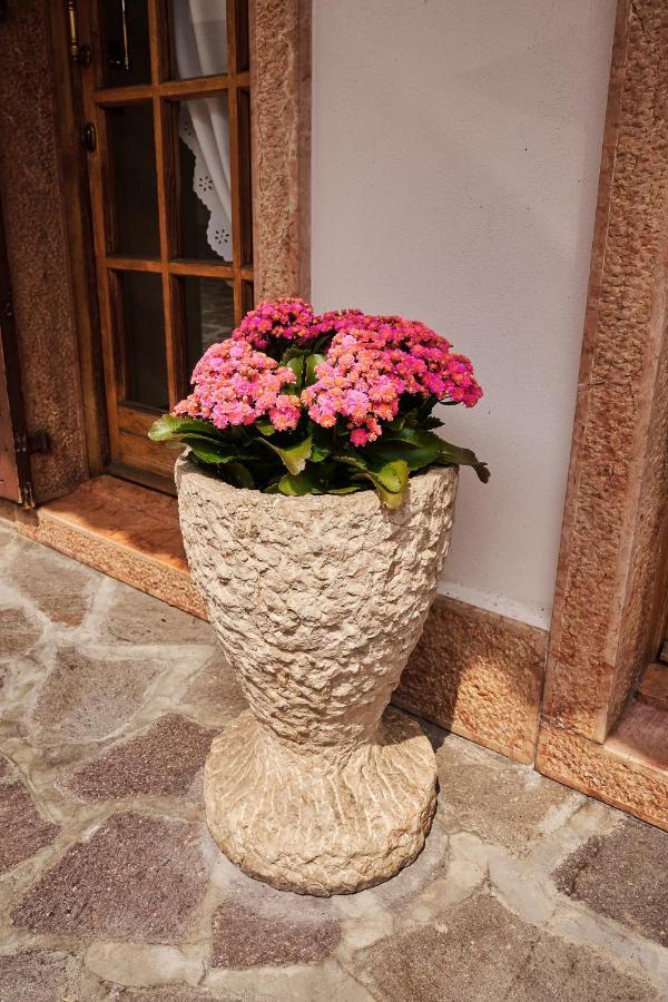 Ad Sidera Bed & Breakfast Pastrengo Exterior photo